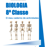 Baixar Biologia 8ª classe [O Meu Caderno de Actividades] em PDF - Moçambique