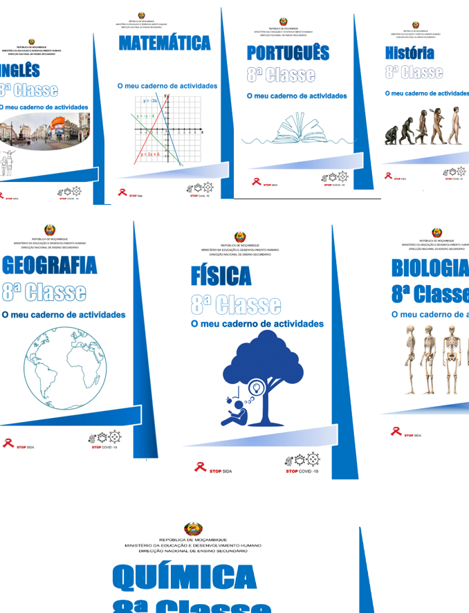 Todos Cadernos de Actividades da 8ª classe (Moz) PDF