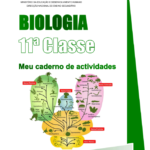 Biologia 11ª Classe [O Meu Caderno de Actividades] PDF