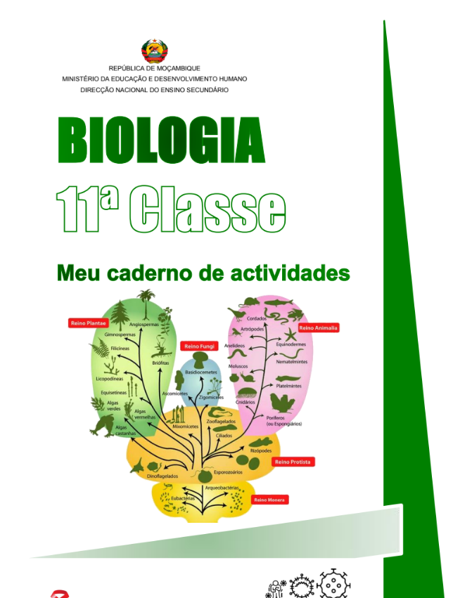 Biologia 11ª Classe [O Meu Caderno de Actividades] PDF