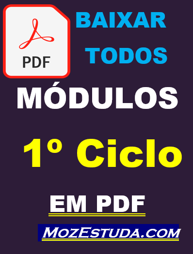 BAIXAR MÓDULOS DO 1º CICLO DO ENSINO SECUNDÁRIO EM PDF - de Todas Disciplinas