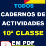 Baixar Cadernos de Actividades da 10ª Classe em PDF