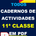 Baixar Cadernos de Actividades da 11ª Classe em PDF