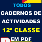 Baixar Cadernos de Actividades da 12ª Classe em PDF