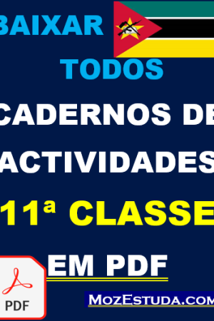 Baixar Cadernos de Actividades da 11ª Classe em PDF