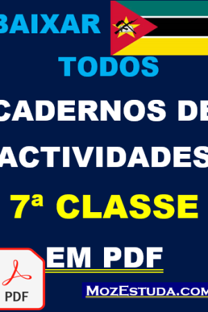 Baixar Cadernos de Actividades da 7ª Classe em PDF