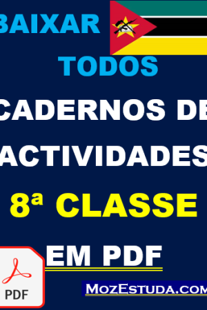 Baixar Cadernos de Actividades da 8ª Classe em PDF
