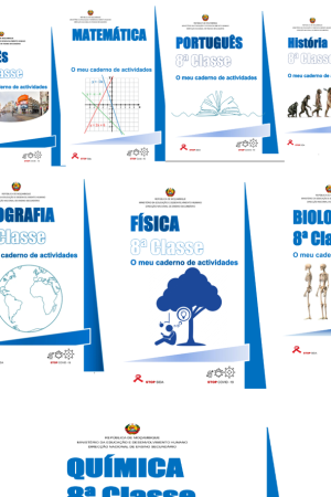 Todos Cadernos de Actividades da 8ª classe (Moz) PDF