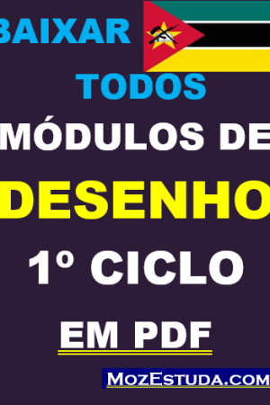 Baixar Todos Módulos de Ed. Visual 1º Ciclo em PDF (EV - Educacao Visual)