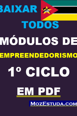 Baixar Todos Módulos de Empreendedorismo 1º Ciclo em PDF