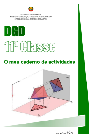 DGD 11ª Classe [O Meu Caderno de Actividades] PDF