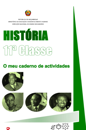 História 11ª Classe [O Meu Caderno de Actividades] PDF