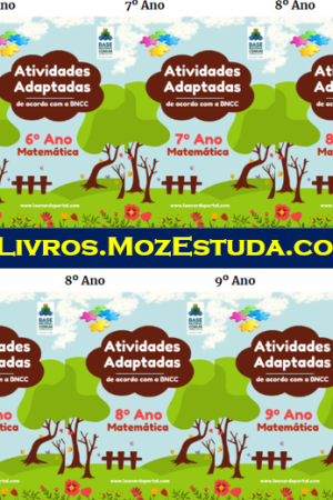 Matemática Atividades Adaptadas Inclusivas (Autismo, TDAH, Dislexia, Síndrome de Down, PCD)