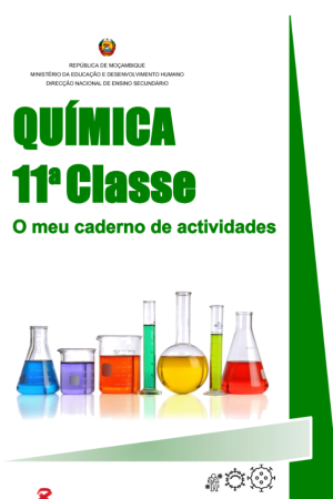 Química 11ª Classe [O Meu Caderno de Actividades] PDF
