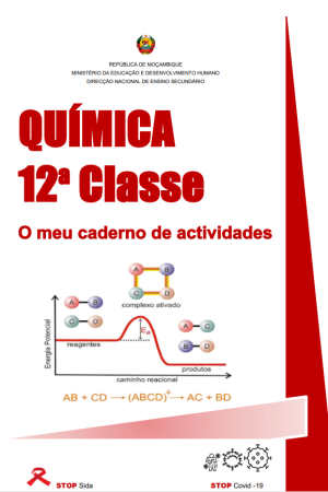 Química 12ª Classe [O Meu Caderno de Actividades]