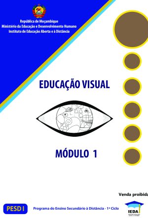 Módulo 1 de Educação Visual do 1º Ciclo (PESD 2024)