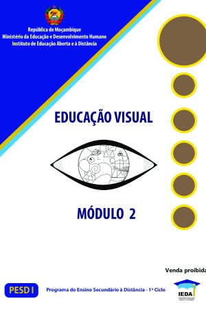 Módulo 2 de Educação Visual do 1º Ciclo (PESD 2024)
