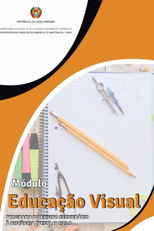 Módulo de Educação Visual do 1º Ciclo PDF